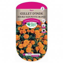 Semis Oeillet d'Inde double nain orange - Les Doigts Verts