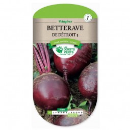 Sachet de graines Betterave de détroit 3 Les Doigts Verts