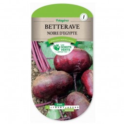 Sachet de graines Betterave noire d'Égypte - Les Doigts Verts