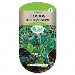 Sachet de graines Cardon plein blanc inerme - Les Doigts Verts