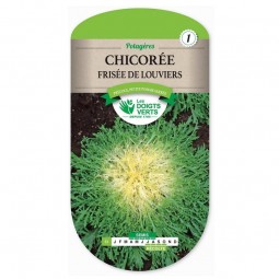 Sachet de graines Chicorée frisée de Louviers - Les Doigts Verts