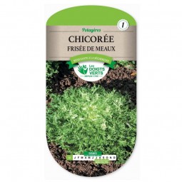 Sachet de graines Chicorée frisée de Meaux - Les Doigts Verts