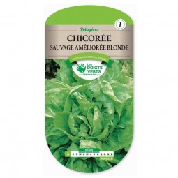 Sachet de graines Chicorée sauvage améliorée blonde - Les Doigts Verts