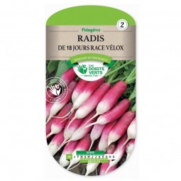 Sachet de graines Radis de 18 jours race Vélox - Les Doigts Verts