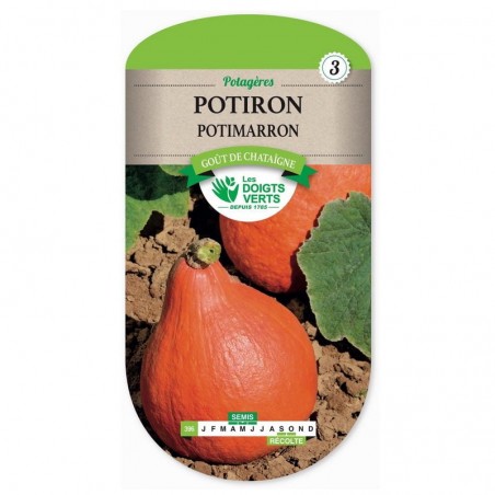 Sachet de graines Potiron Potimarron - Les Doigts Verts