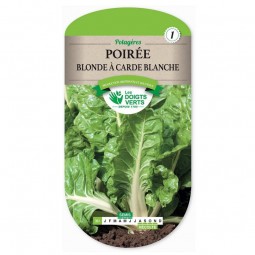 Sachet de graines Poirée blonde à carde blanche - Les Doigts Verts