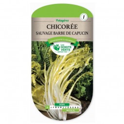 Sachet de graines Chicorée sauvage Barbe de capucin Les Doigts Verts
