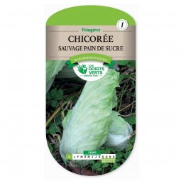 Sachet de graines Chicorée sauvage pain de sucre - Les Doigts Verts