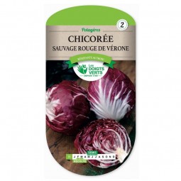 Sachet de graines Chicorée sauvage rouge de Vérone - Les Doigts Verts