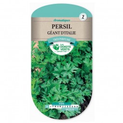 Sachet de graines Persil géant d'Italie - Les Doigts Verts