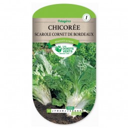 Sachet de graines Chicorée scarole en cornet bordeaux - Les Doigts Verts