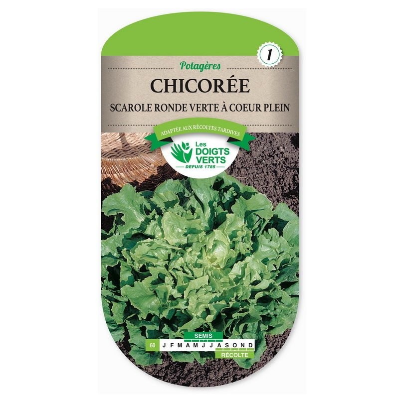 Sachet de graines Chicorée scarole ronde verte - Les Doigts Verts