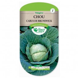 sachet de graines Chou cabus de Brunswick - Les Doigts Verts