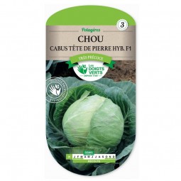 Sachet de graines Chou cabus tête de pierre Hybride F1 - Les Doigts Verts