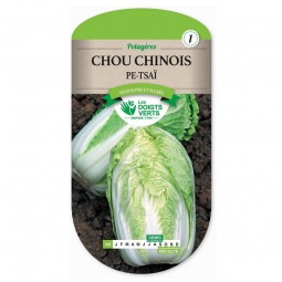 Sachet de graines Chou Chinois Pe Tsaï - Les Doigts Verts