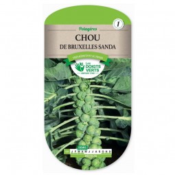 Sachet de graines Chou de Bruxelles Sanda - Les Doigts Verts