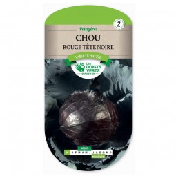 Sachet de graines Chou rouge tête noire - Les Doigts Verts