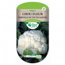 Sachet de graines Chou-fleur merveille toutes saisons - Les Doigts Verts