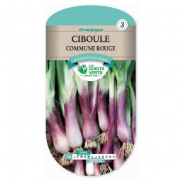 Sachet de graines Ciboule rouge - Les Doigts Verts