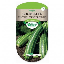 Sachet de graines Courgette verte non coureuse d'Italie - Les Doigts Verts