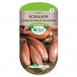 Sachet de graines Échalion cuisse de poulet du Poitou - Les Doigts Verts