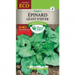 Sachet de graines Épinard géant d'hiver Format Eco - Les Doigts Verts