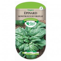 Sachet de graines Épinard monstrueux de Viroflay - Les Doigts Verts