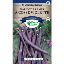 Haricot à rames à cosse violette - Les Doigts Verts