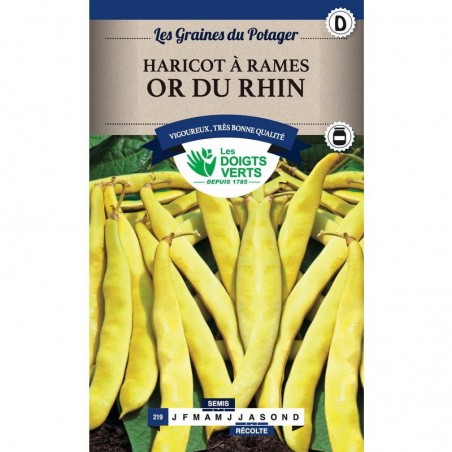 Boîte Haricot à rames or du Rhin - Les Doigts Verts