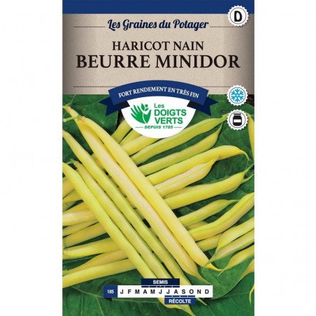 Boîte Haricot nain beurre Minidor - Les Doigts Verts