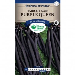 Boîte Haricot nain purple queen - Les Doigts Verts