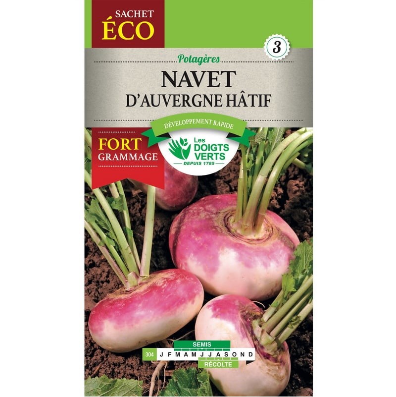 Sachet de graines Navet d'Auvergne hâtif Format éco - Les Doigts Verts
