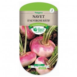 Sachet de graines Navet d'Auvergne hâtif - Les Doigts Verts