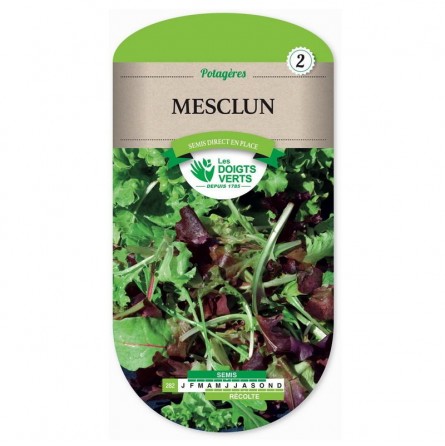 Sachet de graines Mesclun salade en mélange - Les Doigts Verts