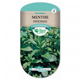Sachet de graines Menthe officinale - Les Doigts Verts