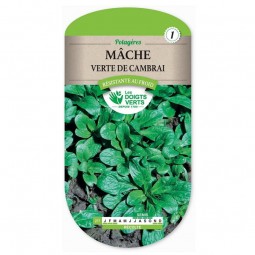 Sachet de graines Mâche verte de Cambrai - Les Doigts Verts