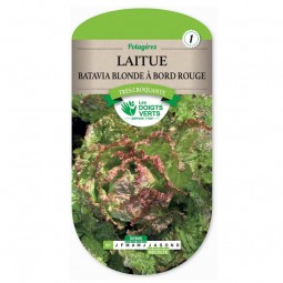 Sachet de graines Laitue Batavia blonde à bord rouge - Les Doigts Verts