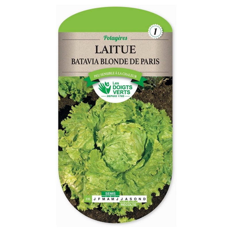 Sachet de graines Laitue Batavia blonde de Paris - Les Doigts Verts