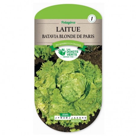 Sachet de graines Laitue Batavia blonde de Paris - Les Doigts Verts