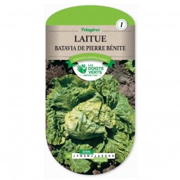 Sachet de graines Laitue Batavia Pierre-Bénite - Les Doigts Verts