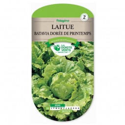 Sachet de graines Laitue Batavia dorée de printemps - Les Doigts Verts