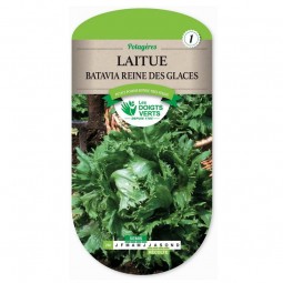 Sachet de graines Laitue Batavia reine des glaces - Les Doigts Verts