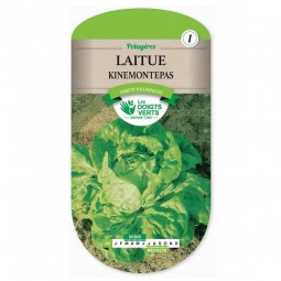 Sachet de graines Laitue Kinemontepas - Les Doigts Verts