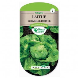 Sachet de graines Laitue merveille d'hiver - Les Doigts Verts