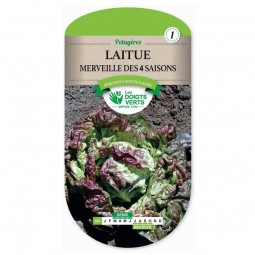 Sachet de graines Laitue merveille des 4 saisons - Les Doigts Verts