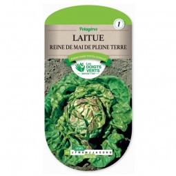 Sachet de graines Laitue Reine de Mai - Les Doigts Verts