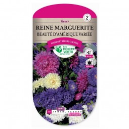 Sachet de graines Reine marguerite beauté d'Amérique variée - Les Doigts Verts