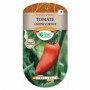 Sachet de graines Tomate Andine cornue - Les Doigts Verts