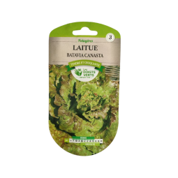 Sachet de graines Laitue Batavia Canasta - Les Doigts Verts