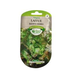 Sachet de graines Laitue Batavia Sierra - Les Doigts Verts